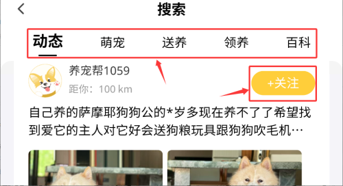 养宠帮宠物托_https://www.qudong520.com_生活实用_第3张
