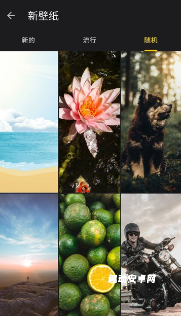 快全全壁纸_手机美化_第2张_趣动安卓网 快全全壁纸_https://www.qudong520.com_手机美化_第2张