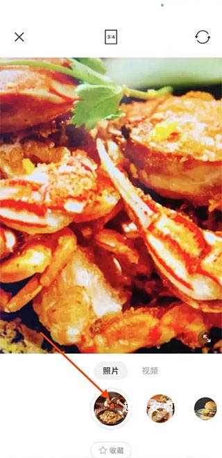 布偶相机_https://www.qudong520.com_摄影图像_第9张